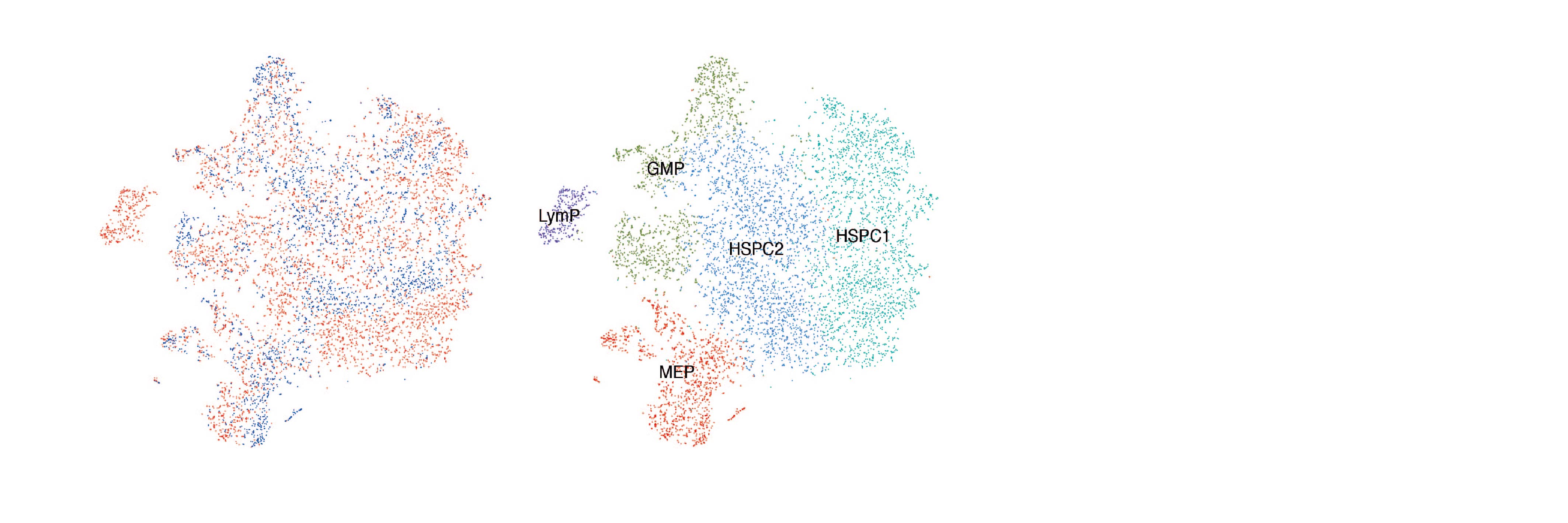 Single Cell Biology